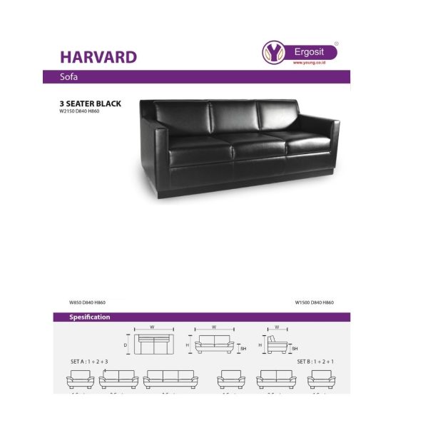 Sofa Ergosit Harvard